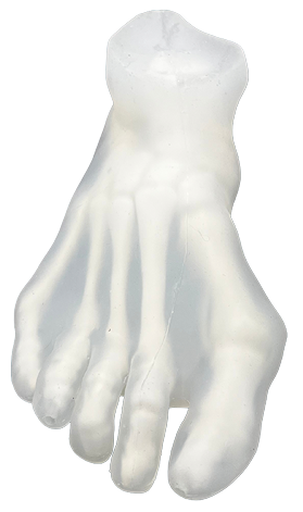 DISTAL  EXTREMITY