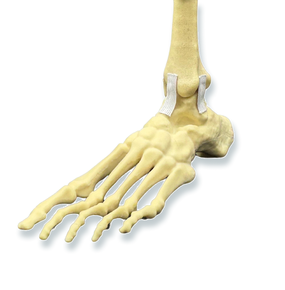 Bone performance