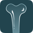 Bone Architecture
